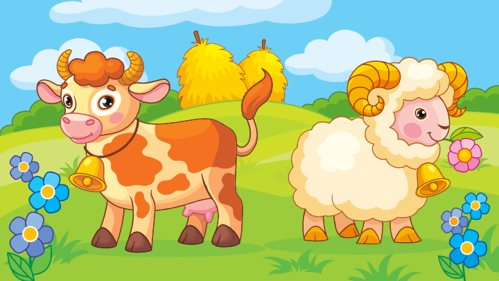 Coloring Book: Kids & Toddlers background